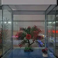 شیشه خم شرکتی دکور شده AQUA SEYF ماهی/آکواریوم|ماهی|زنجان, |دیوار