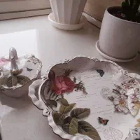 ظر وف پذیرایی