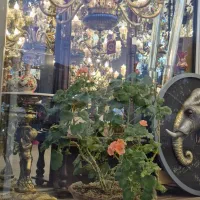 فروش اقساطی فروشگاه لوستر خورشید آغاز شد|لوستر و چراغ آویز|شهرکرد, |دیوار