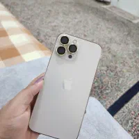 13پرومکس طلایی
