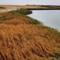زمین-باغشهری-هفت-برم-بر2