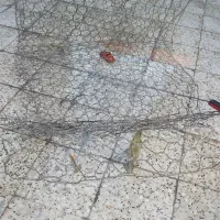 تیر آهن قوتینی شیربانیو فنس|مصالح و تجهیزات ساختمان|پلدختر, |دیوار