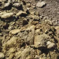 کود گوسفندی خالص