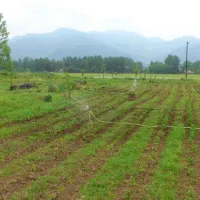 تهاتر زمین مسکونی باغی و گلخانه 7175 متری - لنگرود|فروش زمین و ملک کلنگی|رشت, پیرسرا|دیوار