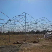 گلخانه ۹۰۰۰