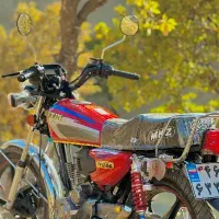 باک خارجی جینکو اصلی