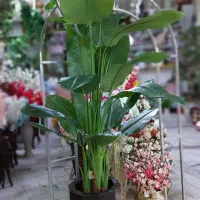 دخت و درختچه های مصنوعی