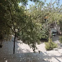 همراهی سفر شمال