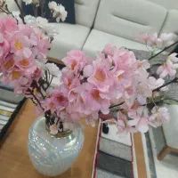 استخدام مدیر فروشگاه