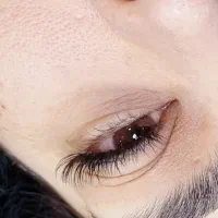 اموزش رایگان (فقط فنسازی و ریموو به دو روش)|خدمات آموزشی|رشت, دیلمان|دیوار