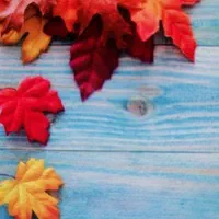 خدمات رنگکاری ونقاشی گلستان(گرگان و کل استان)|خدمات پیشه و مهارت|گرگان, |دیوار