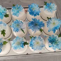 کیک و دسر|خدمات پذیرایی، مراسم|سبزوار, امیر کبیر|دیوار