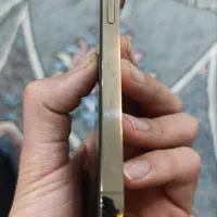 iphone 14 pro 512 gold|موبایل|مشهد, خواجه ربیع|دیوار