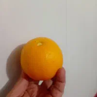 پرتقال نارنگی