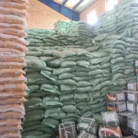 عدس سبز  کشور روس