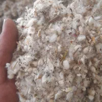 پنبه دانه مبلی