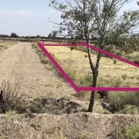 ۶۰۰ متر زمین سند تک برگ شش دانگ / سرآسیاب