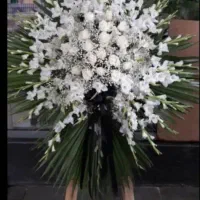 تاج گل فوری|گل و گیاه طبیعی|قم, باغ شریفی|دیوار