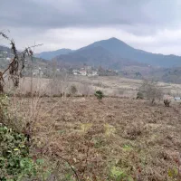 فروش زمین باغی۴۰۰۰متری/بر اسفالت/اطاقور