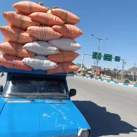 کاه گندم|حیوانات مزرعه|نیشابور, دهنو|دیوار