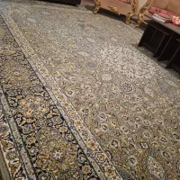 قالی دوازده متری|فرش|الیگودرز, |دیوار