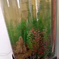 اکواریوم سایز بزرگ پایه فلز|ماهی|سیرجان, |دیوار