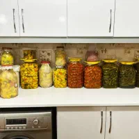 ترشیجات خونگی و محلی