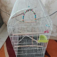 قفس زینتی بزرگ باتمام تجهیزات|لوازم جانبی حیوانات|فولادشهر, A2|دیوار