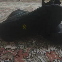 کفش ایمنی وکوهنودری|کیف، کفش، کمربند|نیشابور, شریعتی|دیوار