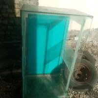 آکواریوم|ماهی|گرگان, |دیوار