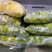 باقالی سبز