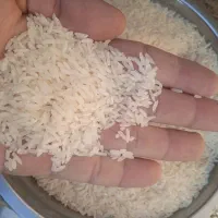 واردات عمده برنج از مرز باشماق|خوردنی و آشامیدنی|تهران, اتحاد|دیوار