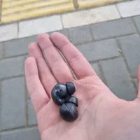 دو عدد گوش ایرپاد اصلی galaxy bods pro 2