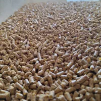 دان مرغ تخمگذار بوقلمون مرغ گوشتی و ...