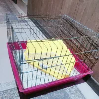 قفس خرگوش