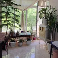 حجامت ، زالو درمانی ، بادکش درمانی ، سم زدائی