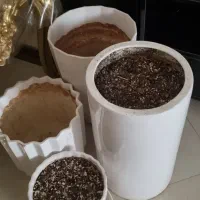 گلدان|گل و گیاه طبیعی|تهران, شهرک فردوس (حسینی)|دیوار