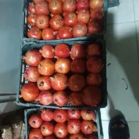انار جهت رب انار موجود|خوردنی و آشامیدنی|ششطراز, |دیوار