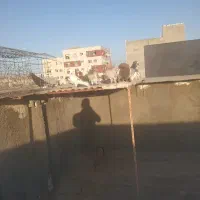 کبوتر پرشی