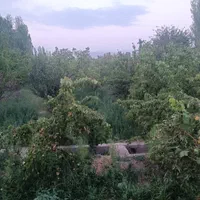 خانه باغ|فروش دفتر صنعتی، کشاورزی، تجاری|کشکسرای, |دیوار