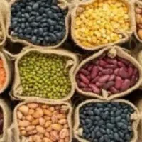 استخدام راننده پیکان وانت