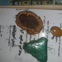 مهره و کتاب صبی|کلکسیون اشیاء عتیقه|رامهرمز, |دیوار