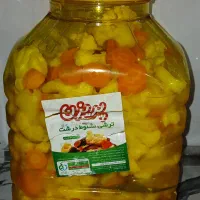 سفارش انواع ترشی