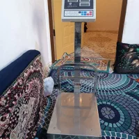 باسکول استیل قیمت 20