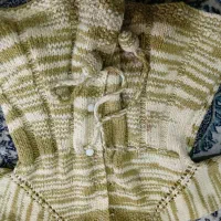 پالتو بچگانه