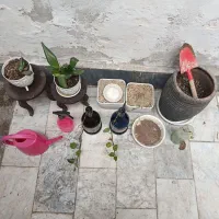 تعدادی گلدان فروشی همه باهم