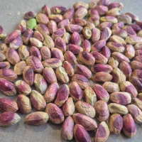 پسته ومغزه پسته