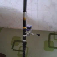 لنسر