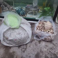 آکواریوم شرکتی و بزرگ|ماهی|دشتابی, |دیوار