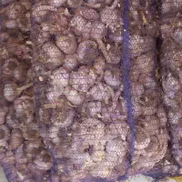 سیر|خوردنی و آشامیدنی|نیشابور, ریوند|دیوار